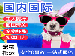 兴凯湖国际宠物托运 【国